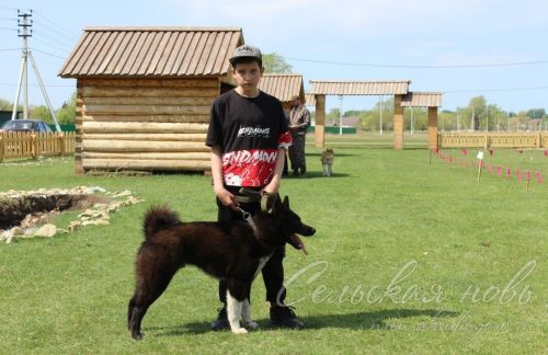 Аксубайда ХХ ау этләре күргәзмәсе узды