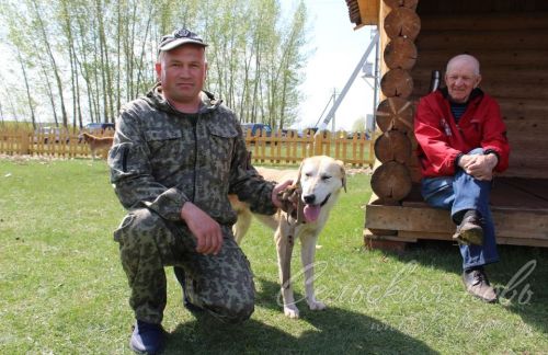 Аксубайда ХХ ау этләре күргәзмәсе узды