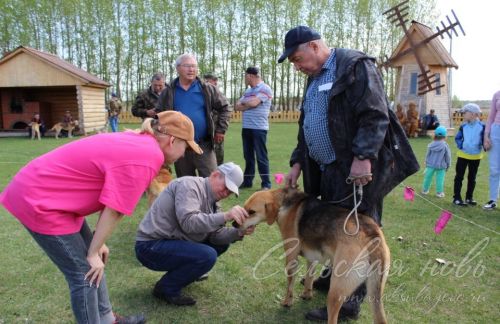 Аксубайда ХХ ау этләре күргәзмәсе узды