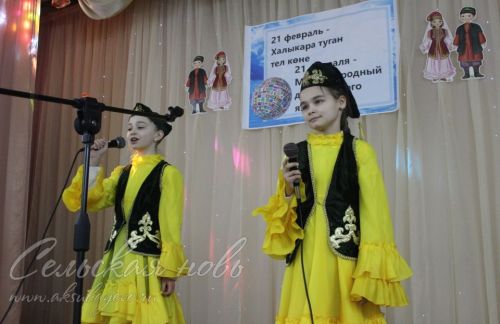 На площадке Аксубаевской средней школы №3 состоялся День родного татарского языка