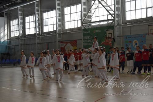 В Аксубаеве стартовала республиканская спартакиада «Сәламәтлек»