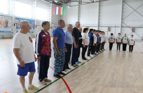 В Аксубаеве состоялась Спартакиада пенсионеров