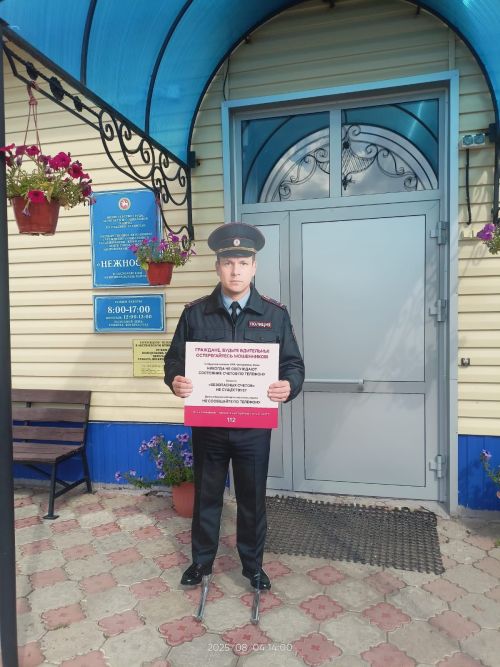 В Аксубаеве установили макеты полицейских для защиты от мошенников