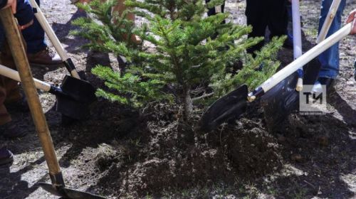 Жителей Татарстана приглашают на всероссийскую акцию «Сад – связь поколений»