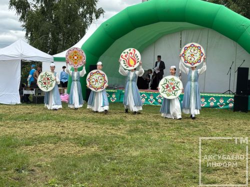 Яңа Думада Авыл көнен билгеләп үттеләр