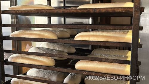 Аксубай районының инвестицион проектларын һәм сәнәгать мәйданчыкларын ТР Рәисе каршындагы Эшкуарлар хокукларын яклау буенча вәкаләтле вәкил Фәрит Габделганиев бәяләде