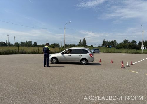 В Аксубаевском районе выбрали лучшую автоледи