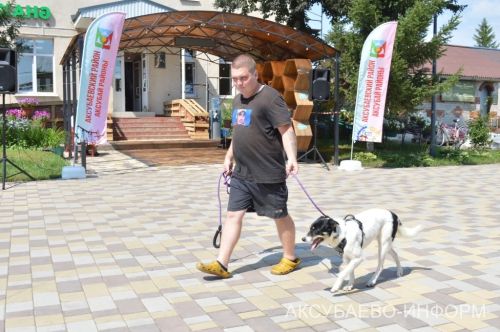 В Аксубаеве прошел фестиваль «Мы с животными – друзья»