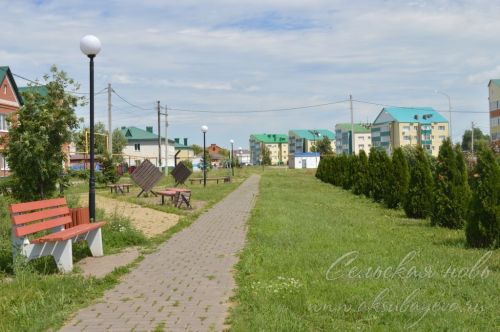 Ночью в Аксубаеве ожидается дождь
