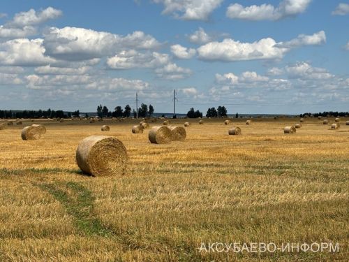 В Аксубаеве ожидается сильный дождь