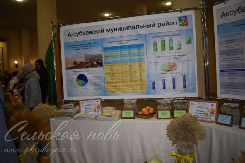 Аксубаево представило культуру района в столице Татарстана