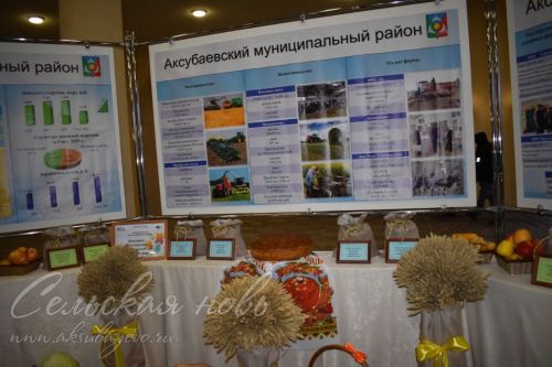 Аксубаево представило культуру района в столице Татарстана