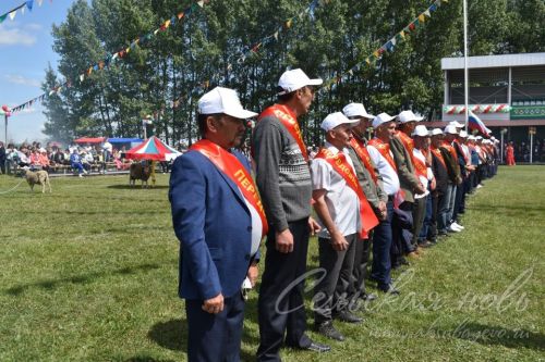 Яркий аксубаевский Сабантуй: чествовали механизаторов, пели, танцевали и состязались в спорте