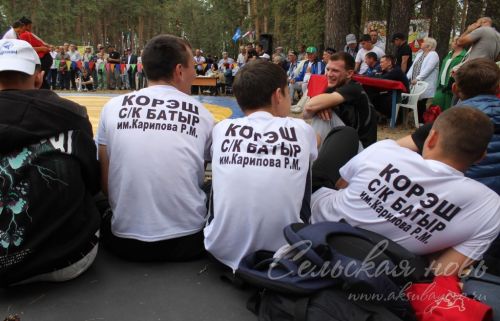 Аксубаевцы участвовали на Сабантуе в Димитровграде