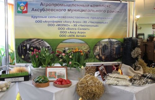 В Аксубаевском районе подвели итоги минувшего года