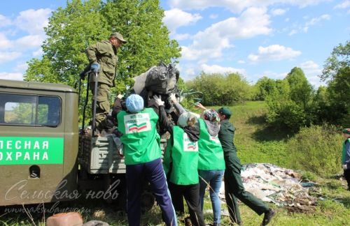Чистые леса Татарстана