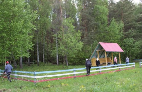 Чистые леса Татарстана