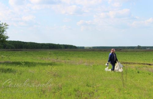 Чистые леса Татарстана