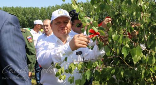 Сабантуй 2025 в Аксубаеве, 8 июня