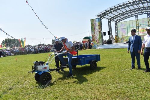 Сабантуй 2025 в Аксубаеве, 8 июня