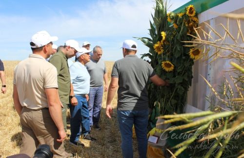 Визит Рустама Минниханова в Аксубаевский район, 20.07.2025 г.