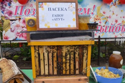 Аксубаево отпраздновало День Республики и юбилей района, 30.08.2025 г.