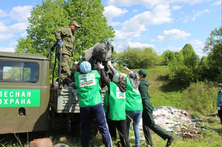Аксубай урманчылыгында «Татарстанның чиста урманнары» акциясе уза