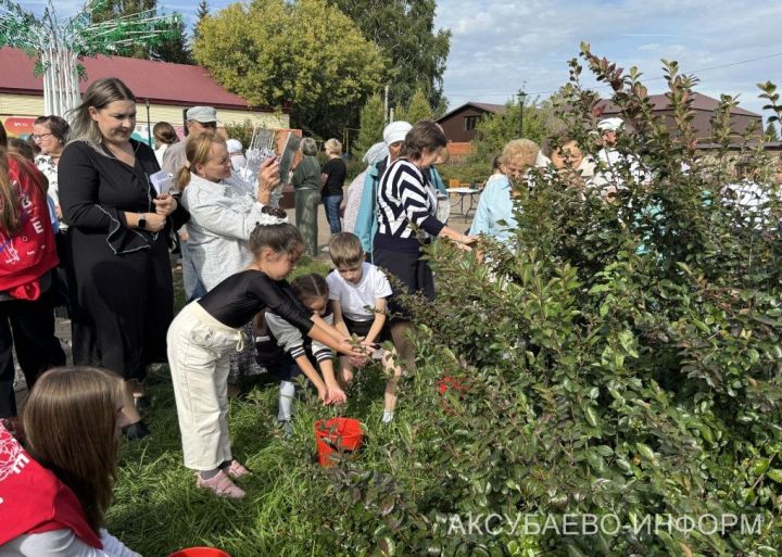 Беслан балалары истәлегенә акция