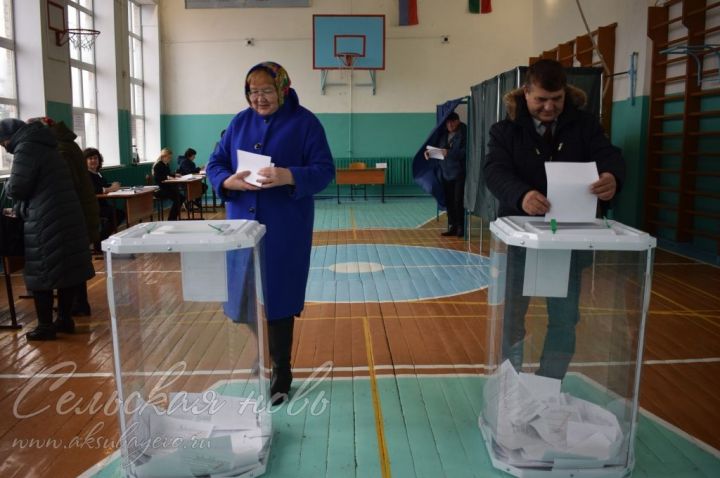 В Аксубаевском районе проголосовало уже  более 17 процентов избирателей