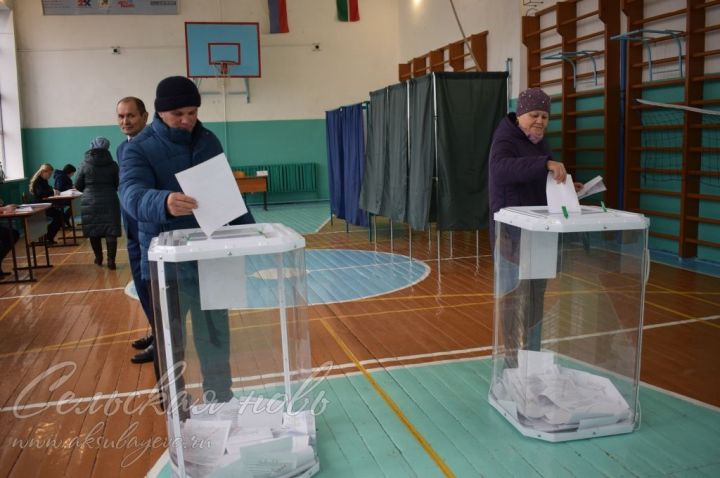 На 15 часов явка на референдумах в Аксубаевском районе составила 52 процента