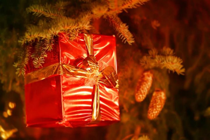 Роспотребнадзор РТ открыл горячую линию по вопросам качества сладких новогодних подарков