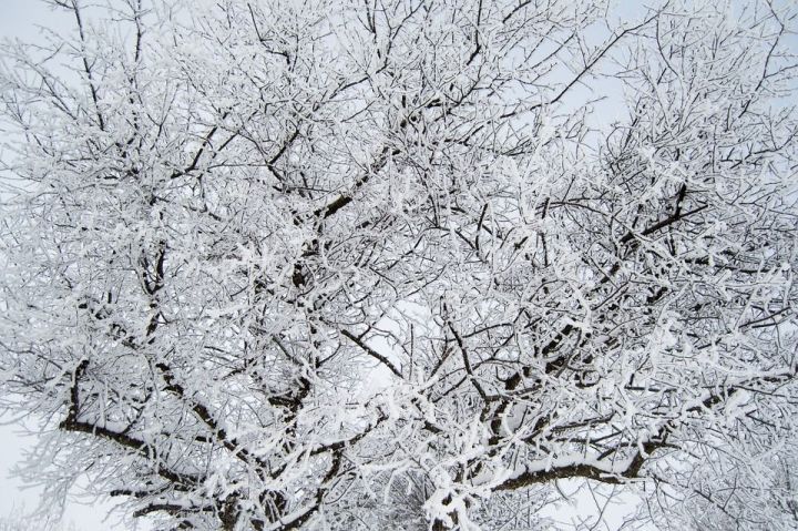 Из-за циклона в Татарстане три дня будет сохраняться снежная погода