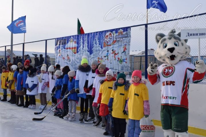 В Аксубаеве – фестиваль хоккея