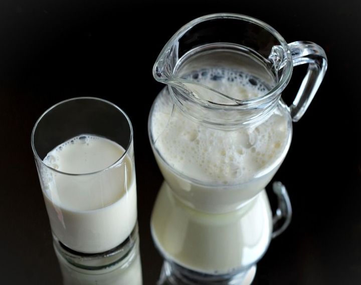 Молока больше – доход выше