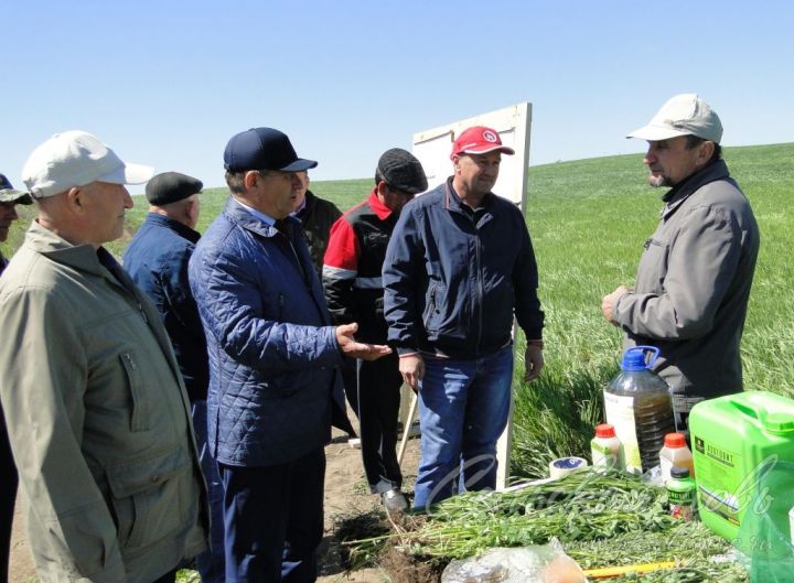 Аксубаевские полеводы обсудили вопросы по защите посевов