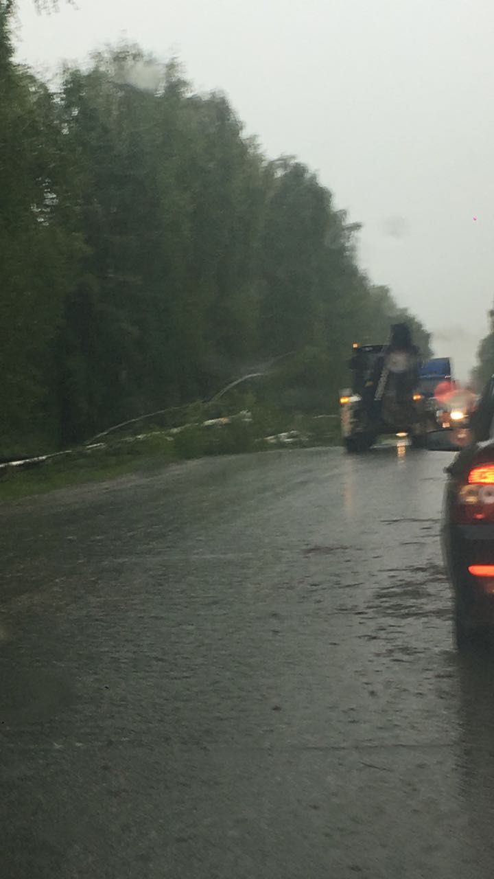 Летающие крыши и поваленные деревья: в городах Татарстана прошелся ураган