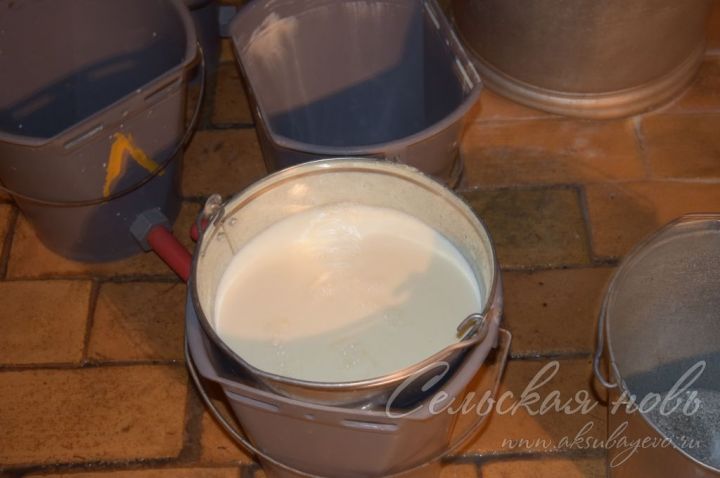 Аксубаевские частники сдают молока больше