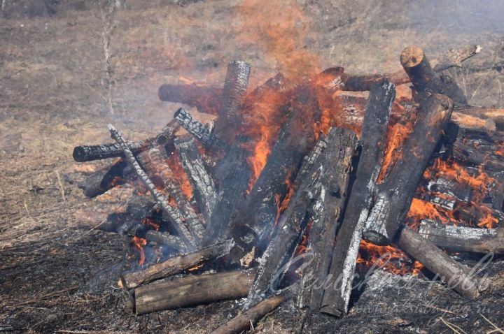 Чтобы не допустить пожара в аксубаевских лесах