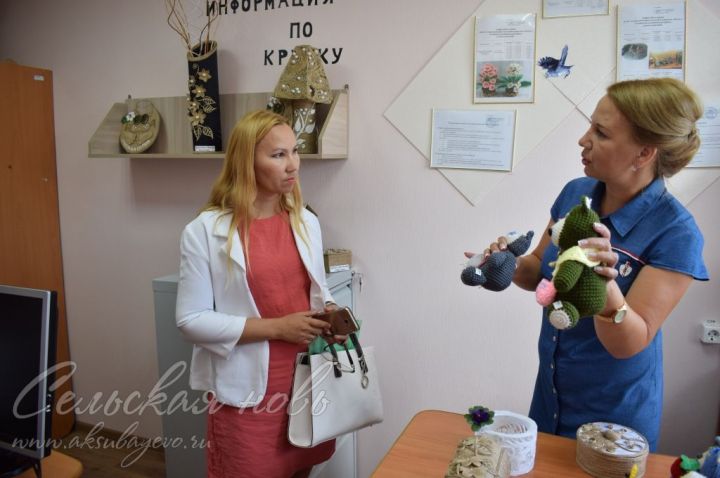 В Аксубаевском приюте провели оценку качества услуг