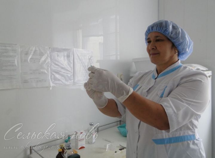 Аксубаевская медсестра видит счастье в семье и любимой работе
