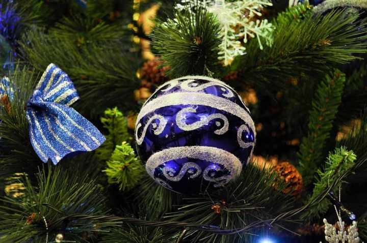 В МЧС предупредили об опасности новогодних елок