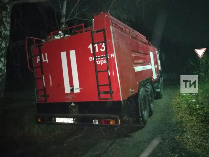 В Татарстане соседи спасли двух женщин из горящего дома и сами потушили пожар
