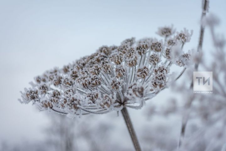 В Татарстане похолодает к середине следующей недели