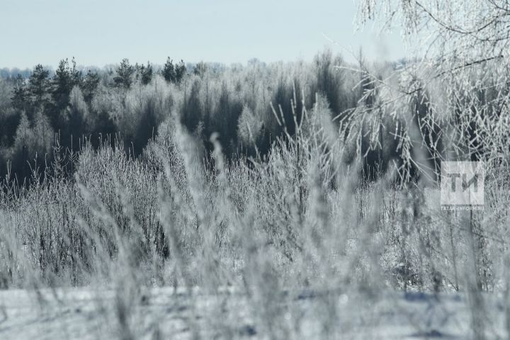Татарстанцев ожидает 12 градусов мороза