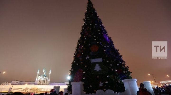 В Казани установили одну из самых высоких новогодних елок в России