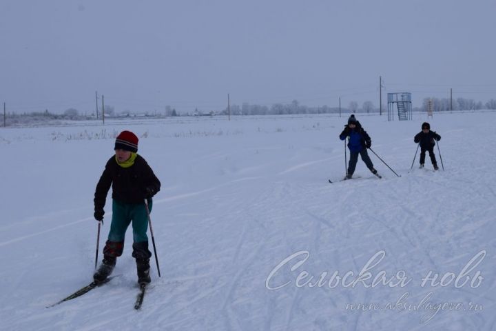 Лыжные трассы в Аксубаеве: преимущества и "минусы"