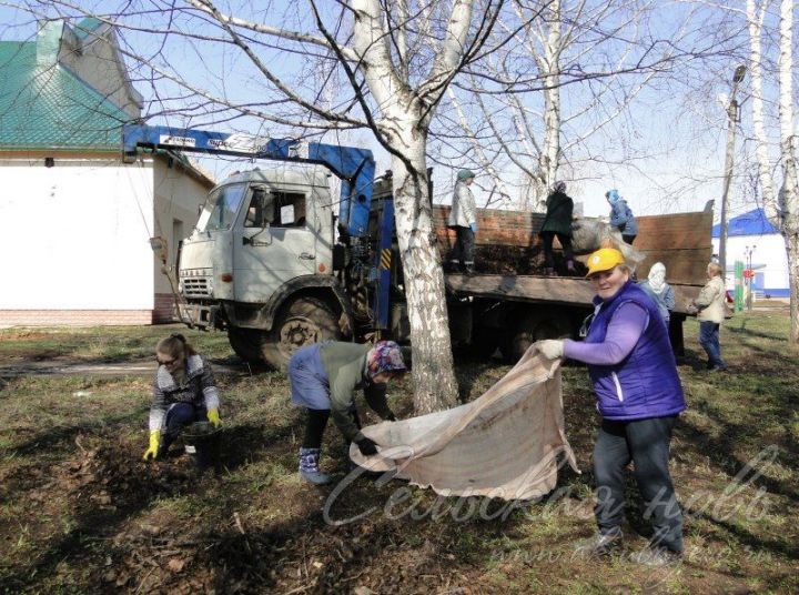 В Татарстане объявлен экологический двухмесячник
