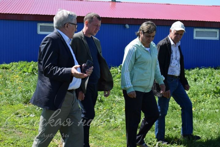 Аксубаевский район посетил руководитель ассоциации фермеров РТ