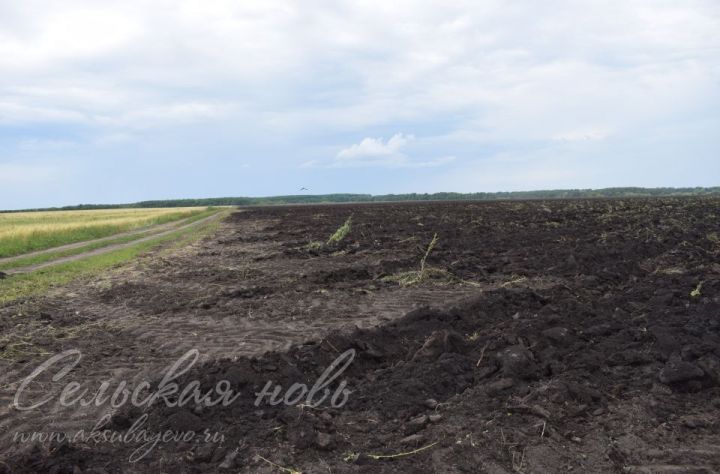 Аксубаевцы готовят почву к осеннему севу