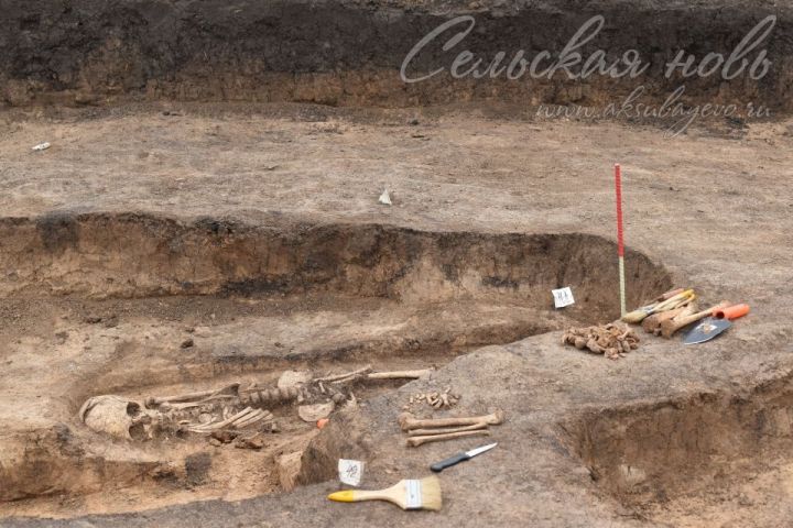 Ученый: В могильнике Аксубаевского района похоронены местные жители, а не люди-гиганты